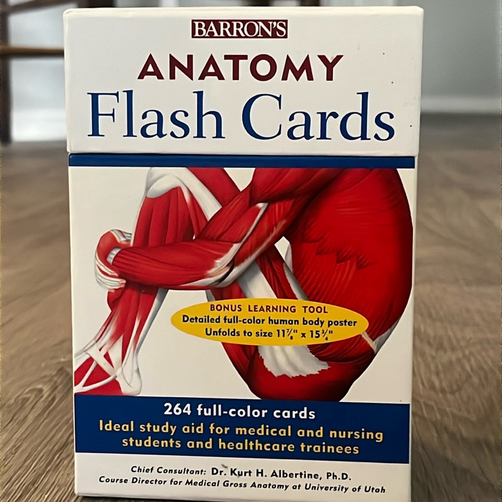 Barron’s Anatomy Flash Cards